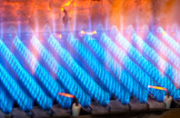 Epney gas fired boilers